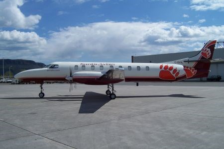 Bearskin 2
